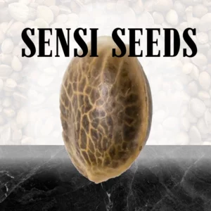 Sensi Seeds - Fruity Juice - 10 Samen, reg.