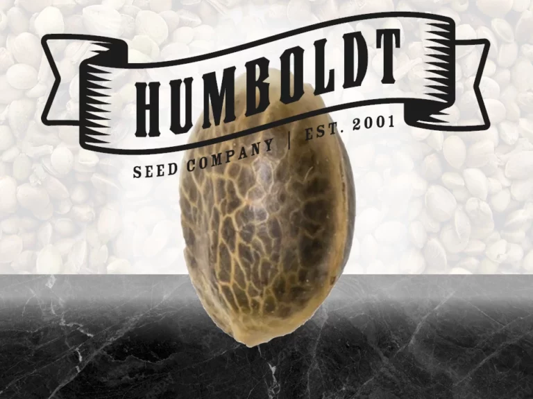 Humboldt Seed Company Samen