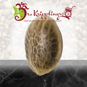 Dr. Krippling - Sour Tang Kripple - 5 Samen, fem.