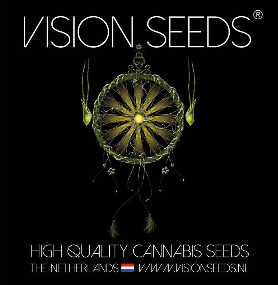 Vision Seeds